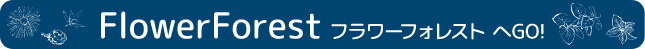 別コレクションリンク