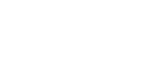 思い切ったアイデアの採用と、失敗が許される風土だった。そうやって挑戦を続けてこれたことが会社の成長につながりました。